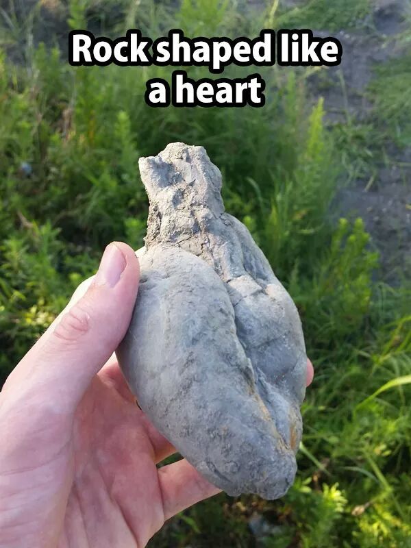 Found my ex' heart - meme