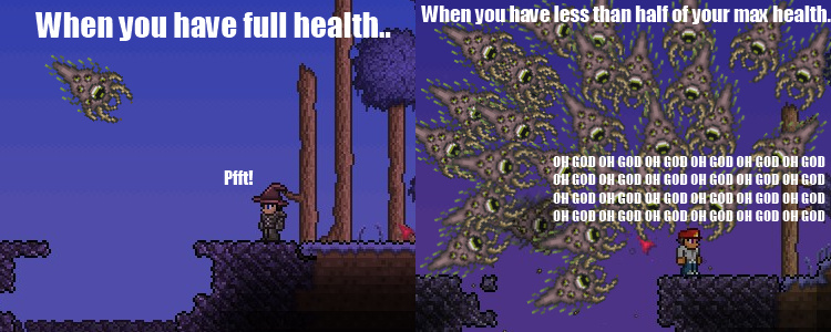 The Best Terraria Memes :) Memedroid