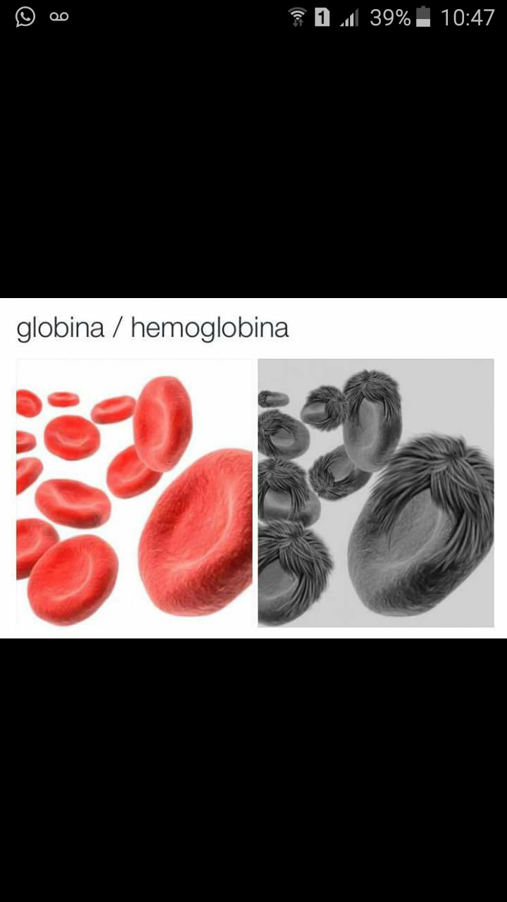 Hemoglobina - meme