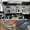 Samsung's first product was dried fish