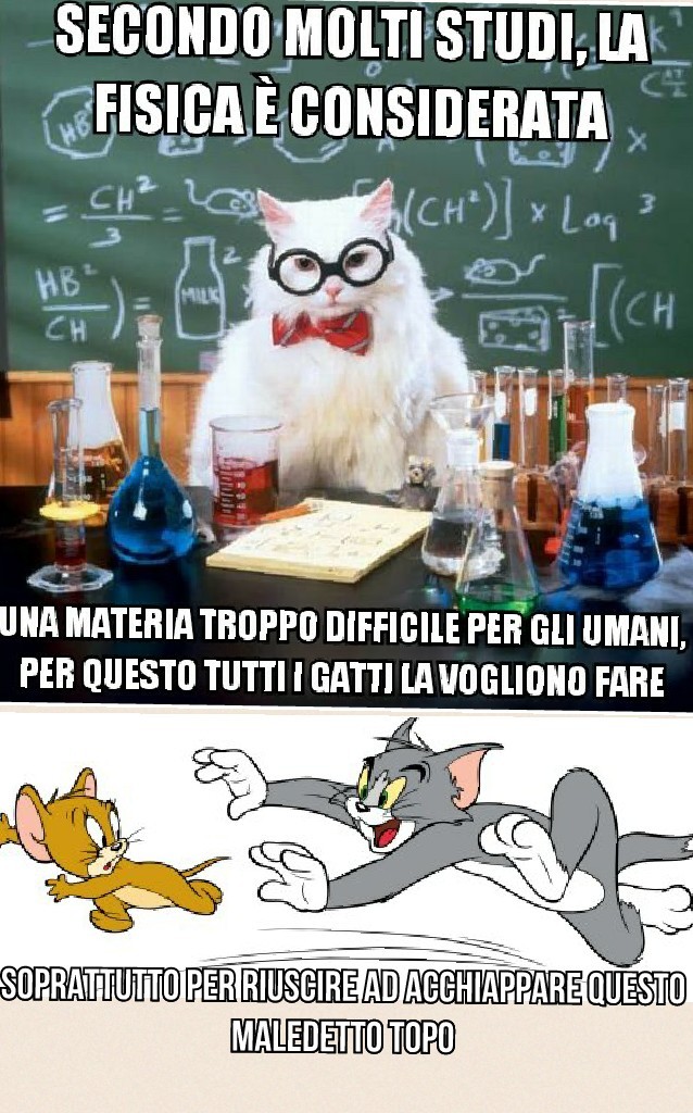 la fisica per gatti - meme