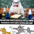 la fisica per gatti