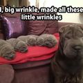 I need all the wrinklets. And the Wrinkle.