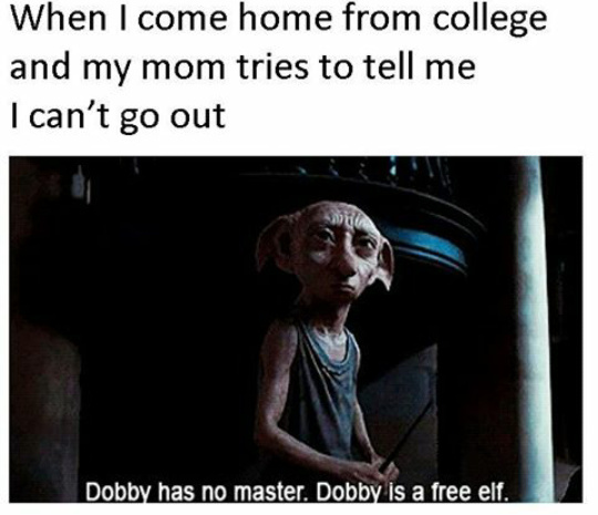 Dobby is freeee - meme