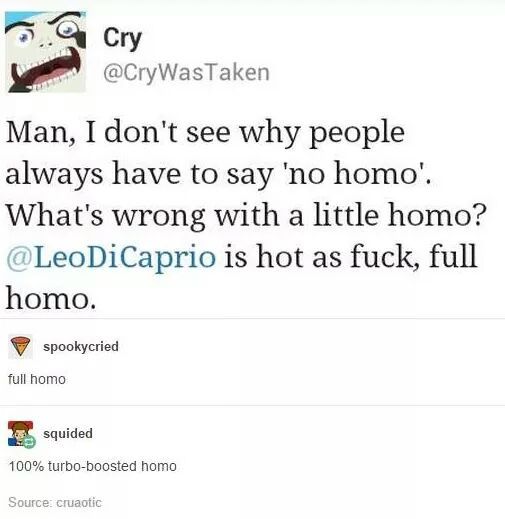 Homo.. No homo - meme