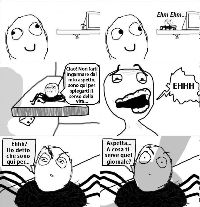 Quanti meme ho fatto sui ragni?