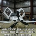 True facts about the airplane