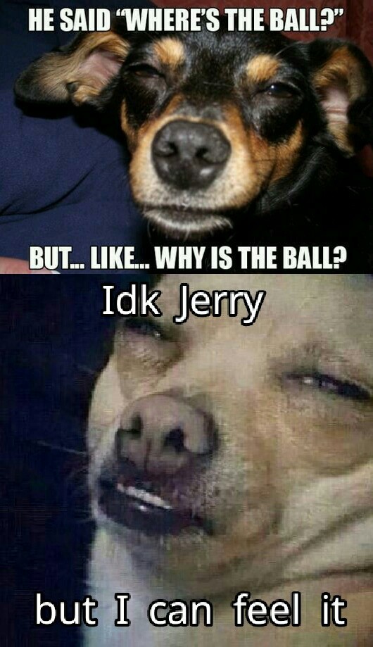 ball is life - meme