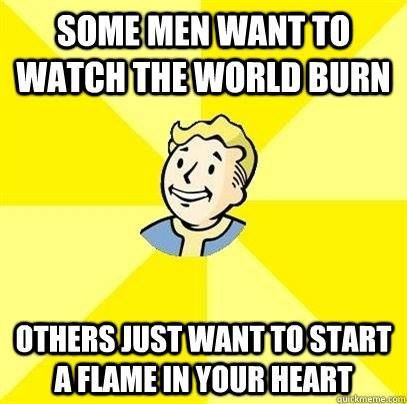 I don't want to set the world on fire... - meme