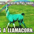 Llamacorn
