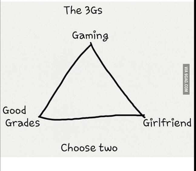 Good grades and Gaming because once you're rich, you get the bitch!:D - meme