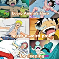 Tout les héros ont besoin de dormir