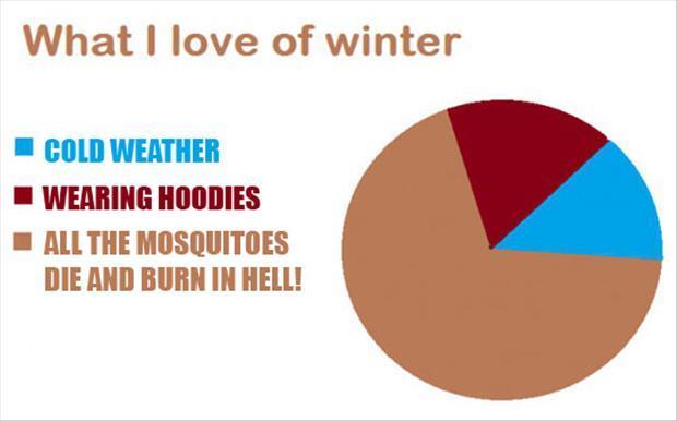winter. - meme