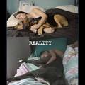 Dormir con tu perro expectativa vs realidad