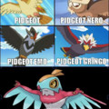 Pidgeot