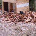 Made a new dog house but...