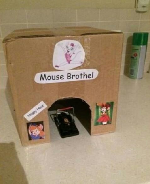 Mouse strip club - meme