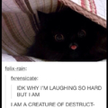 I am cat