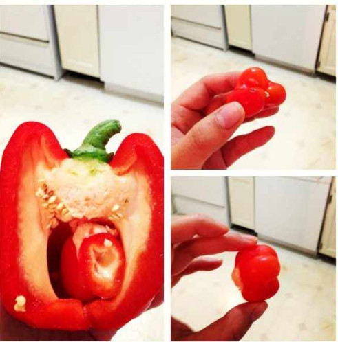 I c-sectioned a pepper. What should we name him? - meme