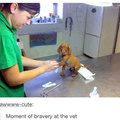 Moment of bravery