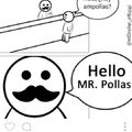Mr. Pollas