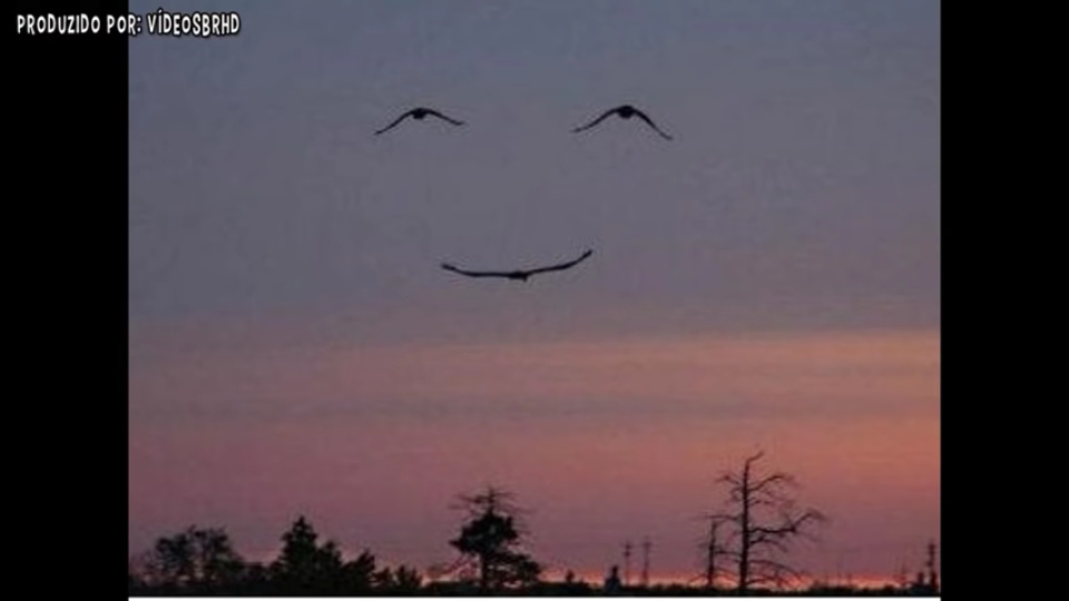 Natureza feliz :) - meme