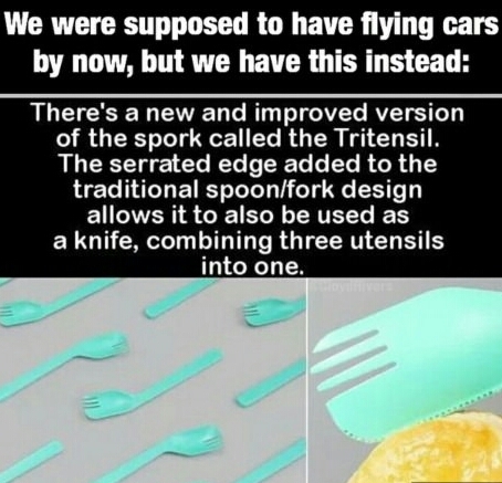 instead if flying cars we have. ...... - meme