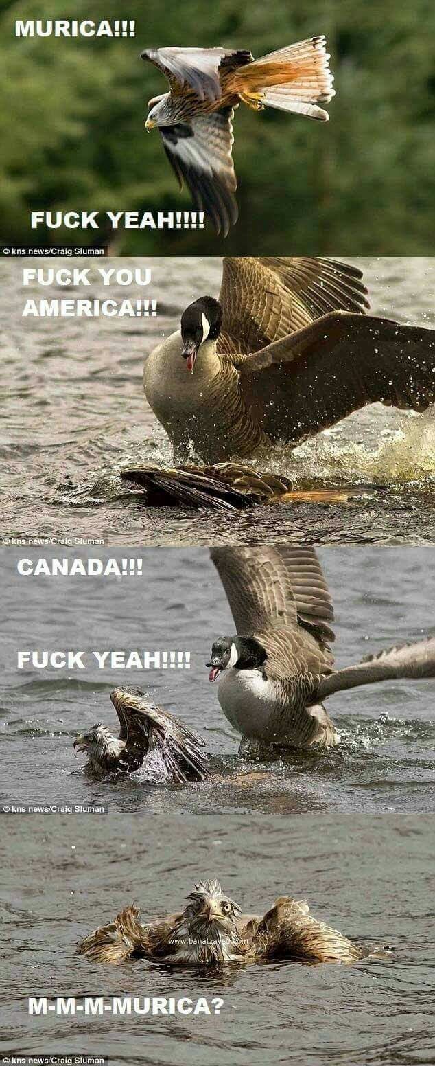 FUCK YEAH!! - meme