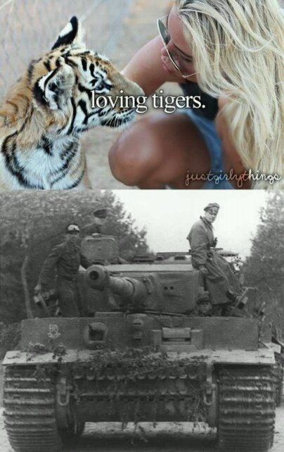 I love Tigers - meme