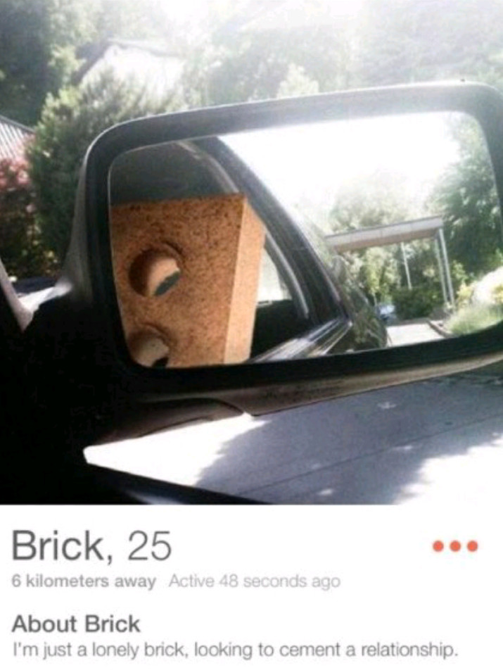 Bricks need love too. I guess why that's why they have holes ( ͡° ͜ʖ ͡°) - meme