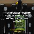 strongest beer