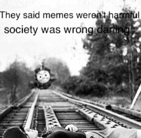 Memes vs society