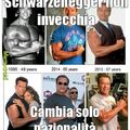 Schwarzenegger level: giapponese