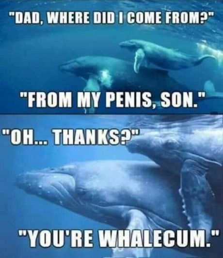 Dad jokes go beyond species - meme