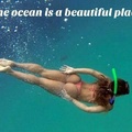 Yes. The ocean...