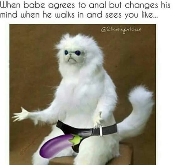 The best strapon memes ) Memedroid