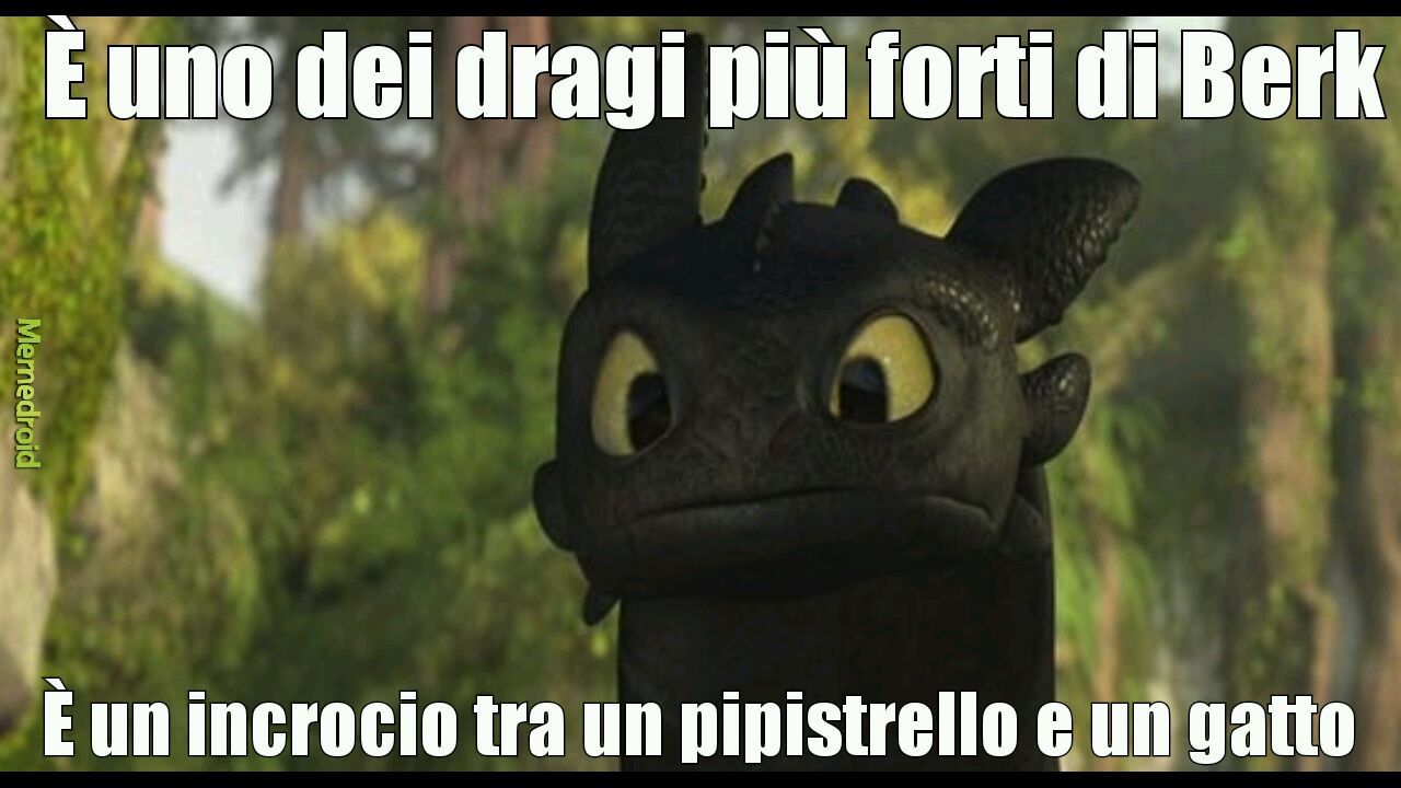 Sdentato  " dragon trainer " - meme