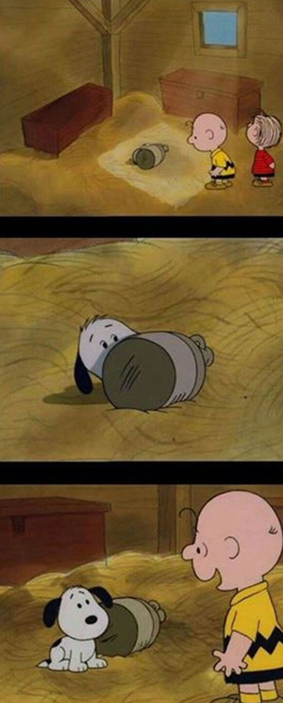El momento cuando Charlie Brown adopta a Snoopy - meme