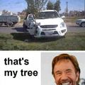 Ese árbol, fue sembrado por Chuck Norris!! xD