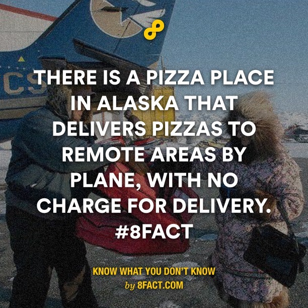 pizza in Alaska - meme