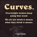 Curvy women are nice, no fat chicks