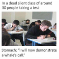 Whale call
