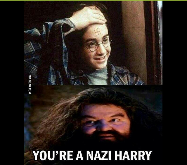 Harry Adolf Potter - meme
