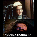 Harry Adolf Potter