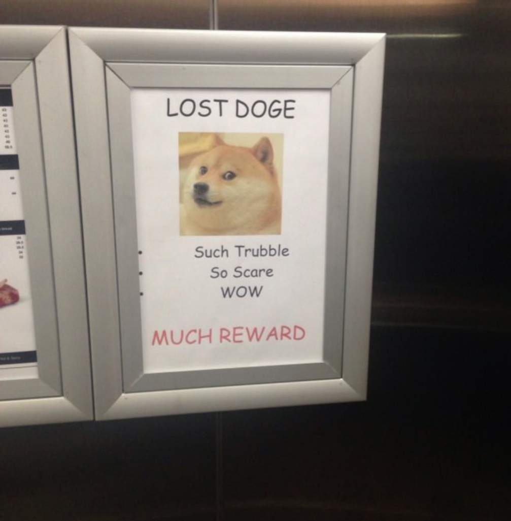 Found in an elevator - meme