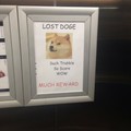 Found in an elevator