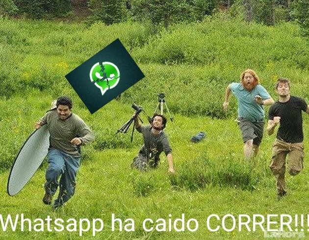 Whatsapp ha caido - meme