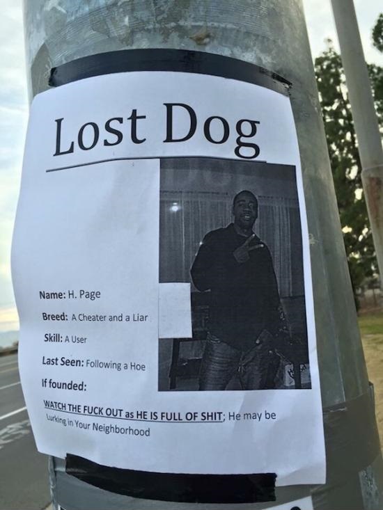 Lost dog watch out - meme