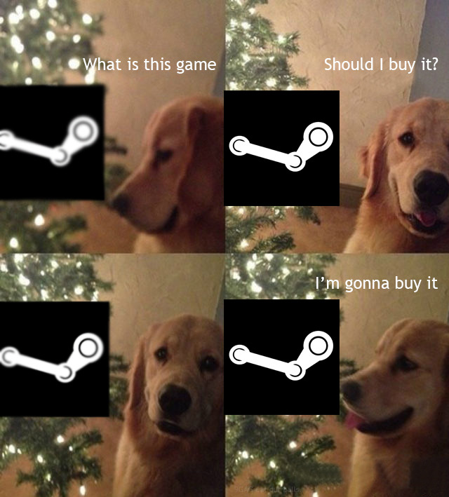 Steam sales in a nutshell - meme