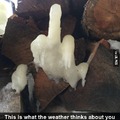 This is what the weather thinks about you
